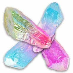 Best deal ???? British Fossils Unicorn Point Fancy Rock ????