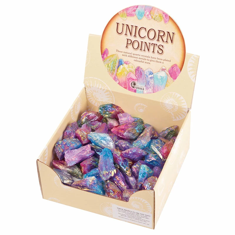 Best deal ???? British Fossils Unicorn Point Fancy Rock ???? - Image 2