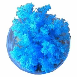 Alternative view of Hot Sale ???? Science & Nature Coral Reef Magic Rock ????