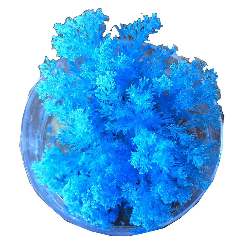 Hot Sale ???? Science & Nature Coral Reef Magic Rock ???? 4 Hot Sale ???? Science & Nature Coral Reef Magic Rock ???? - Image 2