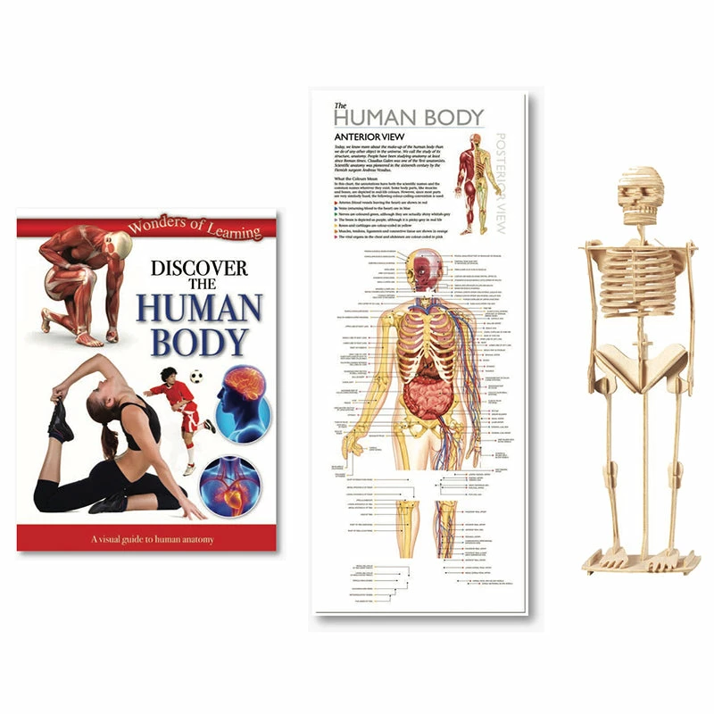 Best deal ✔️ North Parade Publishing Discover The Human Body Educational Tin Set ???? 4 Best deal ✔️ North Parade Publishing Discover The Human Body Educational Tin Set ???? - Image 2