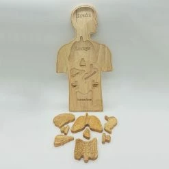 Cheap ???? Q Toys Human Anatomy Puzzle * ❤️