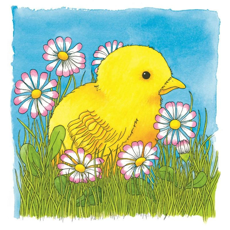 Outlet ???? Goki Chicken Life Cycle 4 Layer Puzzle ⭐ 6 Outlet ???? Goki Chicken Life Cycle 4 Layer Puzzle ⭐ - Image 4