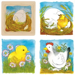 Outlet ???? Goki Chicken Life Cycle 4 Layer Puzzle ⭐