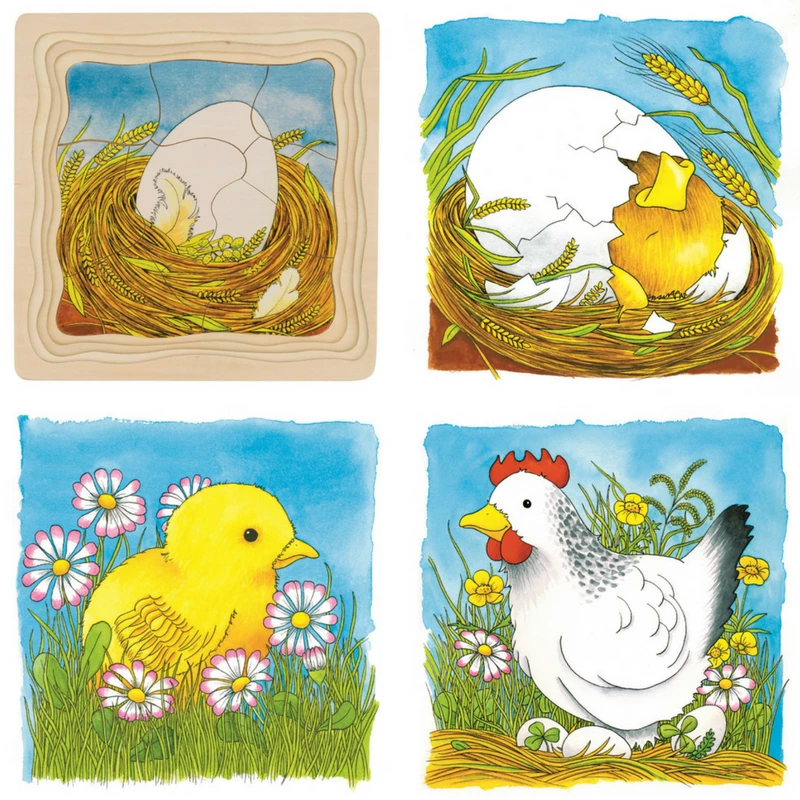 Outlet ???? Goki Chicken Life Cycle 4 Layer Puzzle ⭐ 3 Outlet ???? Goki Chicken Life Cycle 4 Layer Puzzle ⭐