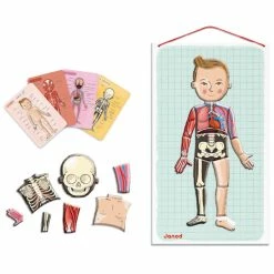 Alternative view of Brand new ✨ Janod Human Bodymagnet Activity Set ????