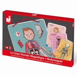Brand new ✨ Janod Human Bodymagnet Activity Set ????