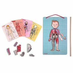 Brand new ✨ Janod Human Bodymagnet Activity Set ???? -Goki Sales Store JAN05491 2 800x800 crop center