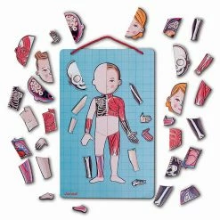 Brand new ✨ Janod Human Bodymagnet Activity Set ???? -Goki Sales Store JAN05491 3 800x800 crop center