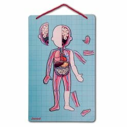 Brand new ✨ Janod Human Bodymagnet Activity Set ???? -Goki Sales Store JAN05491 4 800x800 crop center
