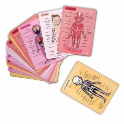 Brand new ✨ Janod Human Bodymagnet Activity Set ???? -Goki Sales Store JAN05491 5 800x800 crop center