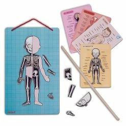 Brand new ✨ Janod Human Bodymagnet Activity Set ???? -Goki Sales Store JAN05491 6 800x800 crop center